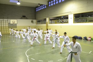 Taekwondo TKD Gaggiano 8