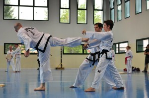 Taekwondo TKD Gaggiano 5
